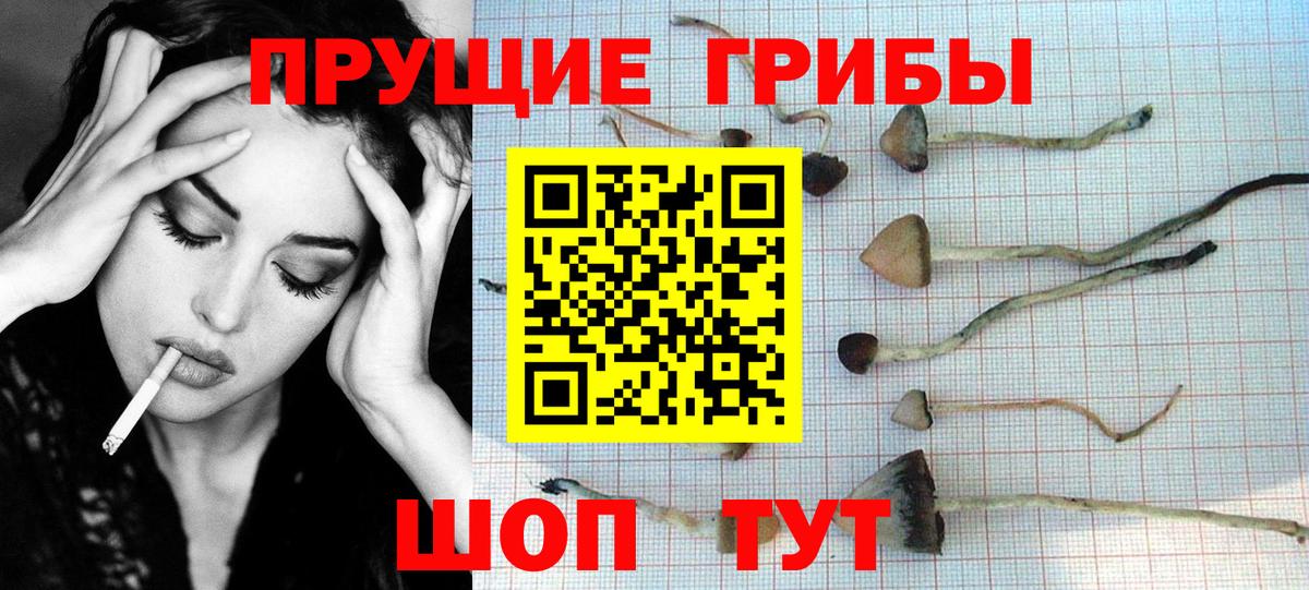 Коркино  Псилоцибиновые грибы прущие грибы  Галлюциногенные грибы мицелий  Вход с VPN 